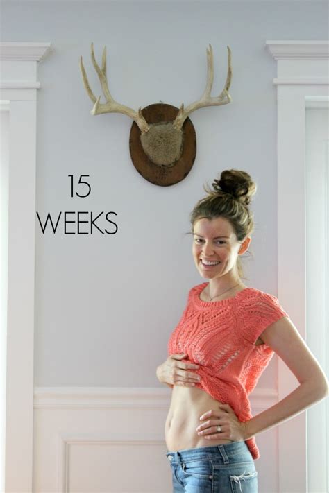 15 Weeks Pregnant Dream Book Design