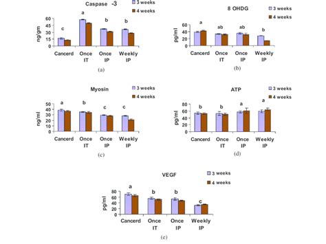 A Serum Caspase 3 B Ohdg C Myosin D Atp And E Vegf Levels In Download Scientific