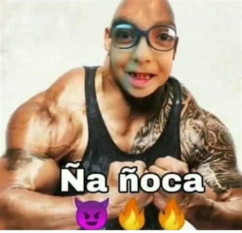 A Oca Im Genes Divertidas Memes Fotos De Risa