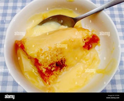 Homemade Golden Syrup Sponge Pudding And Custard Stock Photo Alamy