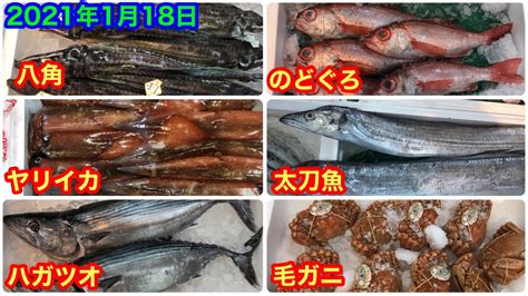 のどぐろ、太刀魚など入荷しています【札幌多田水産】2021年1月18日 Youtube