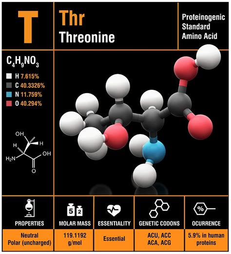 Threonine Amino Acid Molecule By Science Photo Library