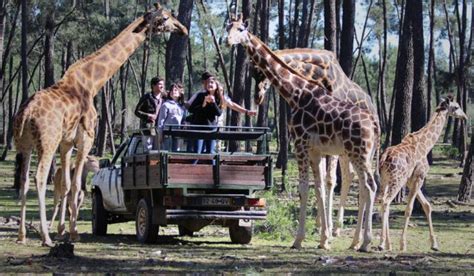 8 Fantásticos Parques Temáticos Para Visitar Em Portugal Vortexmag