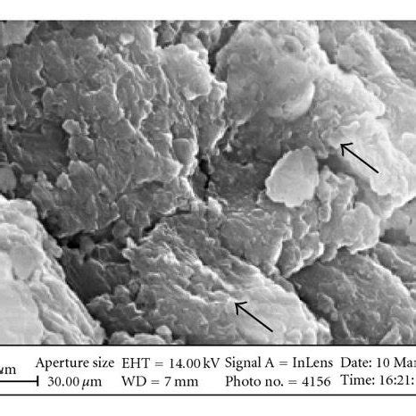 SEM Micrographs For The A As Received Powder B 24 Hours MT And