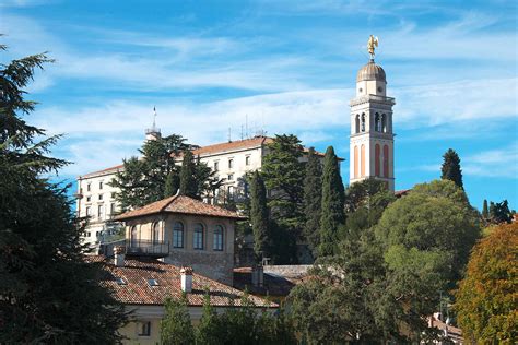 Udine Una Petizione Per Dire No Al Taglio Di 26 Alberi Sul Colle Del