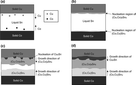 Schematic Diagram Of Imc Growth Mechanism In Cusnco System Not Drawn