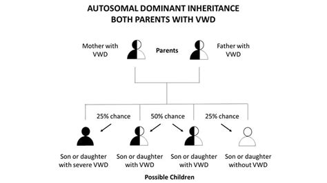 How Von Willebrand Disease Is Inherited Von Willebrand Disease Vwd Cdc