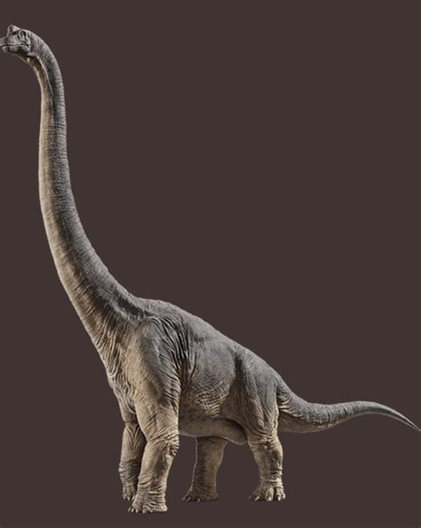 Jurassic World Fallen Kingdom Full Photo Of The Brachiosaurus Jurassic World Dinosaurs