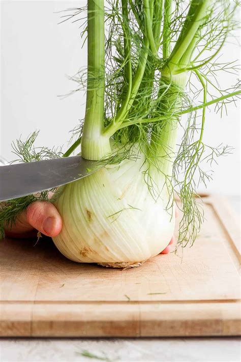 Fennel Vegetable Finale Fennel Organic Seeds – Hudson Valley Seed