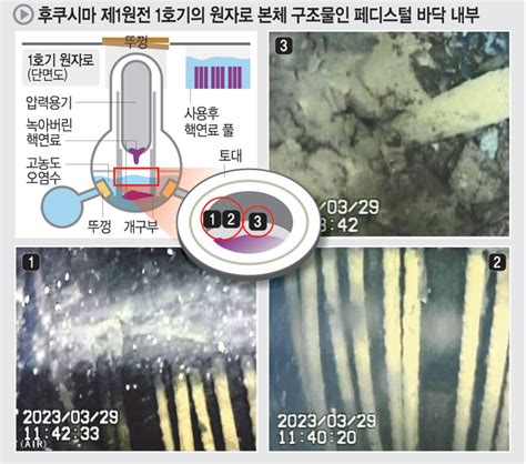 단독 철근 녹고 핵연료 찌꺼기 쌓여 후쿠시마 원전외벽 붕괴우려도쿄전력 내부 촬영사진 첫 공개 네이트 뉴스