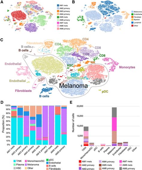 Defining The Cellular Landscape Of Acral Melanomas A T Sne Plots