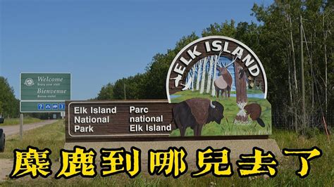 Elk Island National Park D Youtube