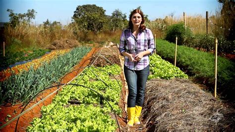 Agricultura Org Nica Ecoagri