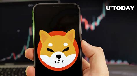 Thousands Of Shiba Inu Holders Get Tempting Opportunity As Shib Price Soars