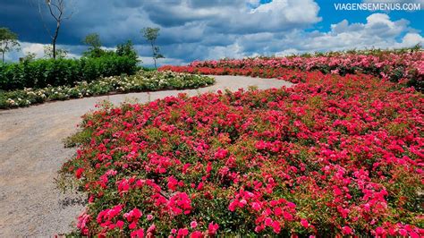 Mátria Parque de Flores como é a visita preços e muito mais