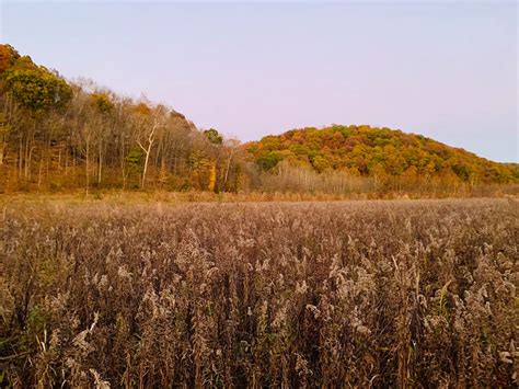 Bat Nest Park | Visit Knox County Ohio