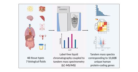 Proteomic Profiling Of The Human Tissue And Biological Fluid Proteome