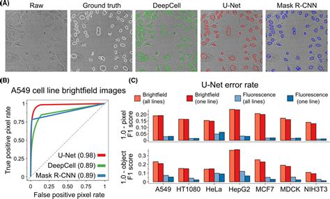 Practical Segmentation Of Nuclei In Brightfield Cell Images With Neural