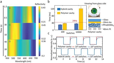 Characterizing Bistability And Lifetime A Temporal Variation Of Rgb