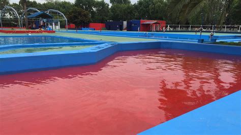 San Lorenzo Pintó El Fondo De Una Pileta Infantil De Rojo Y Recibió Una Catarata De Memes Infobae