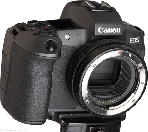 Canon Mount Adapter EF-EOS R Review