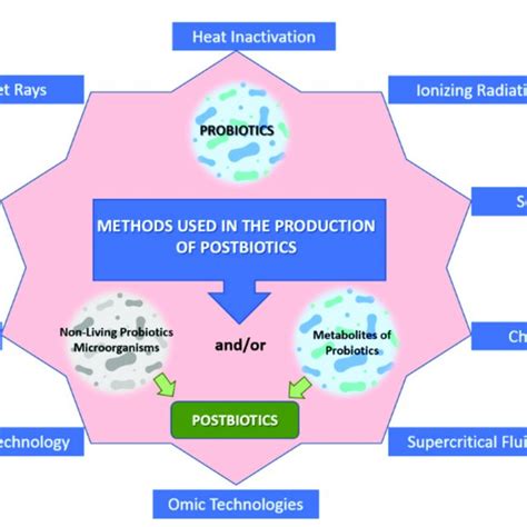 Methods Used In The Production Of Postbiotics Download Scientific Diagram