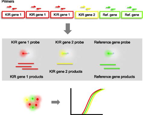 Fast Multiplex Real-time PCR Assay For Simultaneous, 59% OFF