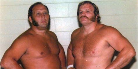 Arn Anderson And Ole Andersons Real Life Relationship Explained