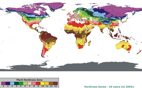 World plant hardiness zone map [X post from /r/mapporn] : r ...