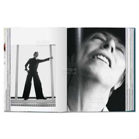 Taschen Mario Testino Sir