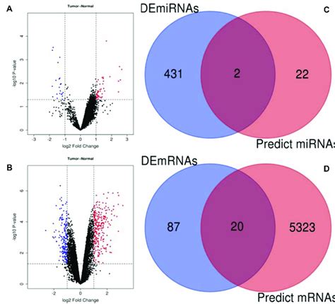 Identification Of Potential Mirnas And Mrnas That Bind To Circrnas In