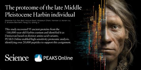 Harbin Cranium Identified as Denisovan Using PEAKS Online ...