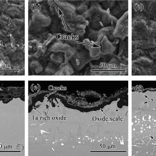 Surface And Cross Sectional Morphologies Of Nial A And D Ni Pt Al