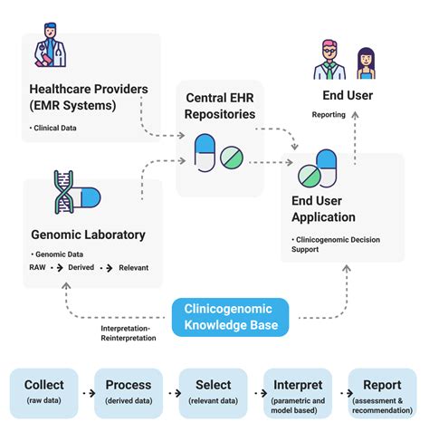 Ehr Software For Health Care Professionals