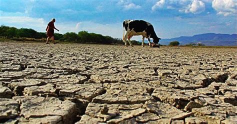 Las Consecuencias De La Sequía En Chile La Mayor Crisis De Agua En Los