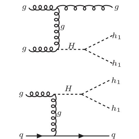 Feynman Diagrams For The Pp → H 1 H 1 J Process Contributing To A