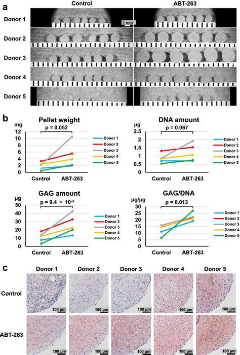 Chondrogenic Differentiation A Gross Appearance Of Chondrogenic