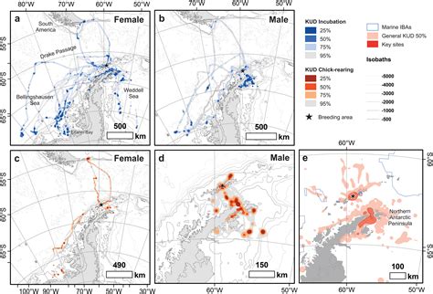 Habitat selection of southern giant petrels: potential environmental ...