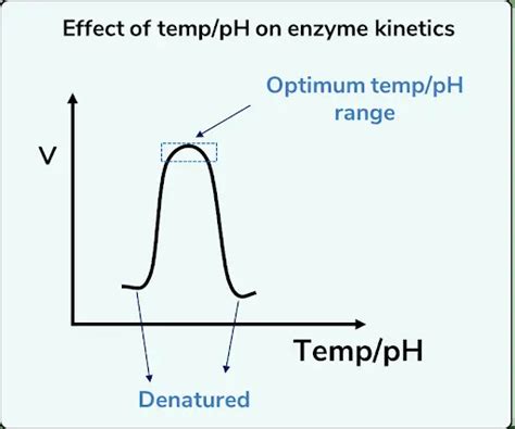 Enzymes Classification Properties Neet Pg Biochemistry Neet Pg