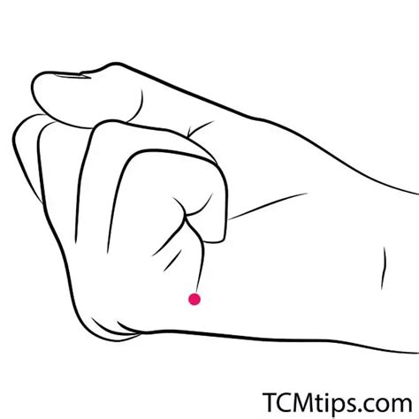 Use Bl 40 Acupuncture Point And These 5 Others Common Acupoints To