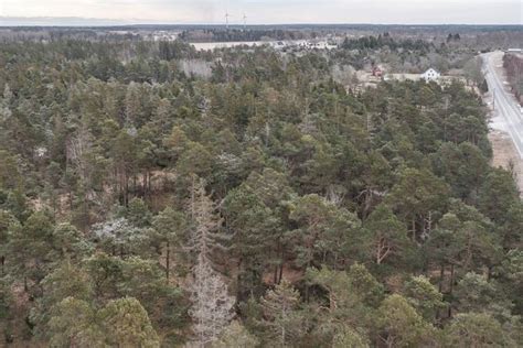 Skogsskiften Kräklingbo Kräklings i Kräklingbo Gotlands kommun gård