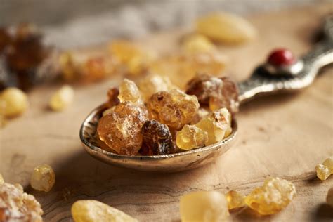 The Timeless Allure of Frankincense – The Northwest School of Aromatic ...