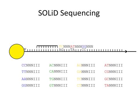 Ion Torrent And Solid Sequencing Techniques Ppt