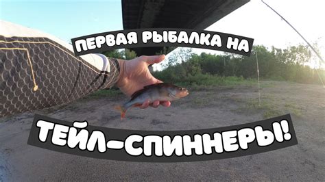 Джиг с берега - всегда с рыбой. Первая рыбалка на тейл-спиннеры! - YouTube