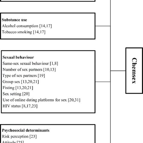 Conceptual Framework To Explain The Use Of Drugs During Sex Chemsex Download Scientific