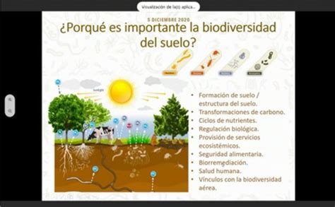 Mantener La Biodiversidad Del Suelo Clave Para Una Producción Sostenible Ministerio De