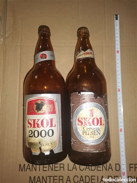 Encuentra El Precio De La Cerveza Skol Litro Y Disfruta De Su