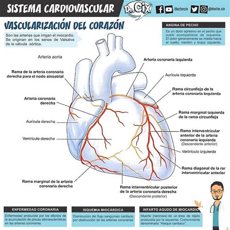 Que Es Angina De Pecho Combi