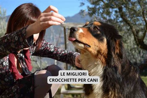 Le Migliori Crocchette Per Il Cane Ecco Quali Scegliere Stranotizie It