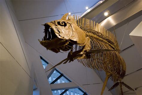 Giant Prehistoric Fish Thing Mike Nowak Flickr